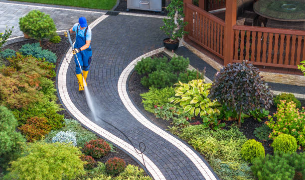 Best Local Pressure Washing Services  in Rock Hill, NY